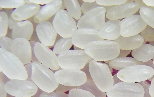 
Camolino Round Rice Manufacturer In India 