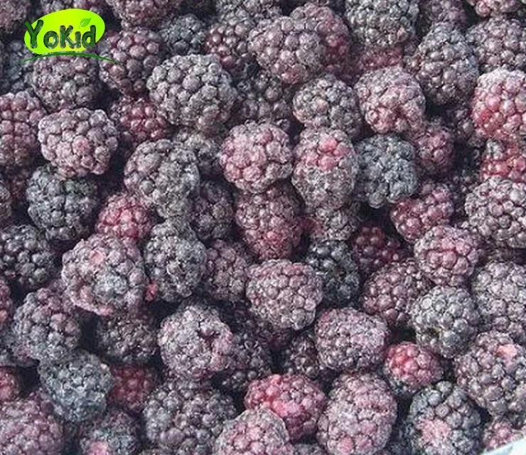 Замороженная отборная ежевика, IQF blackberry, шелковица, ягоды на экспорт
