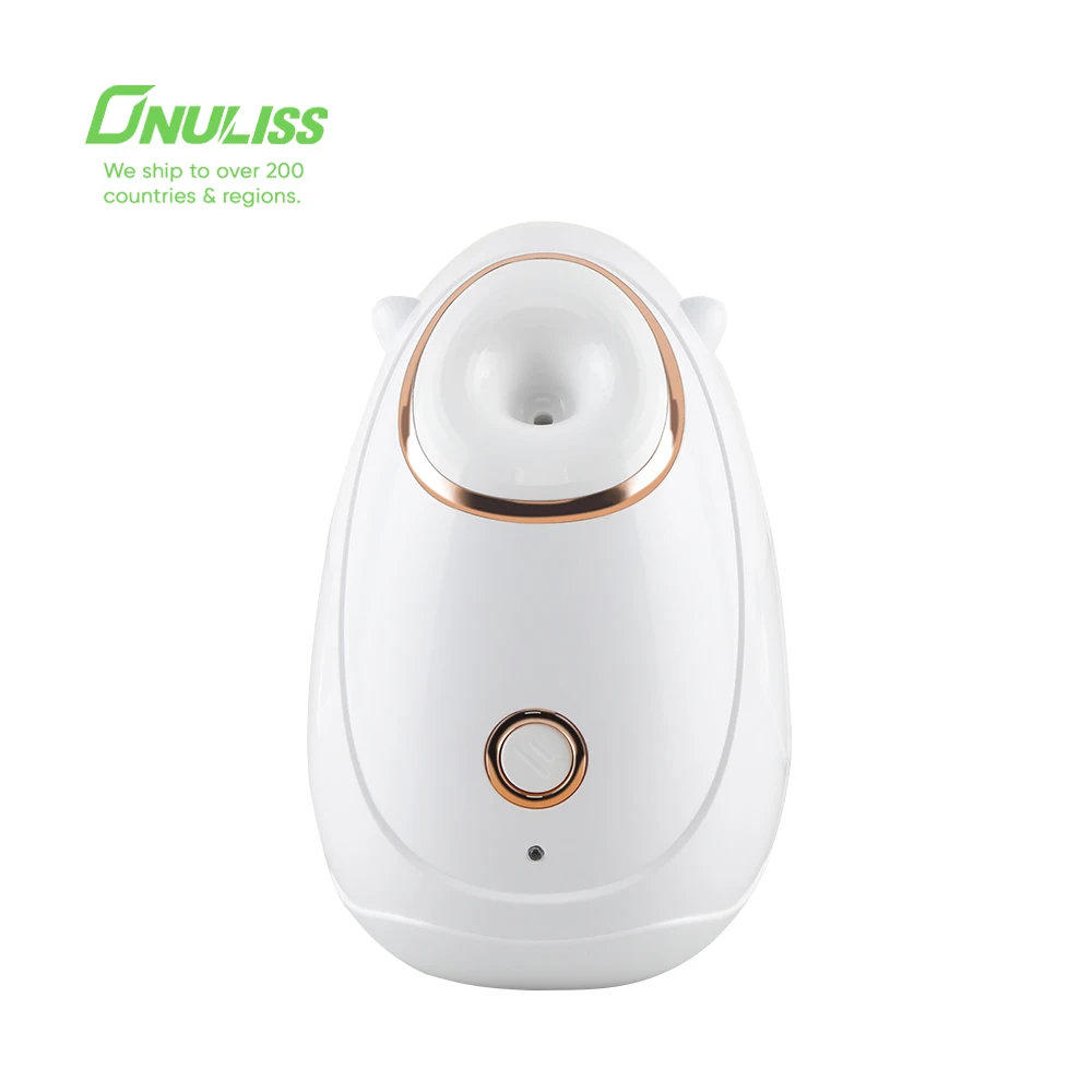 2 in 1 Tiny Facial Steamer Series Hot Nano Towel Warmer Mist Ionic Facial Spa Pink Facial Steamer with Lamp