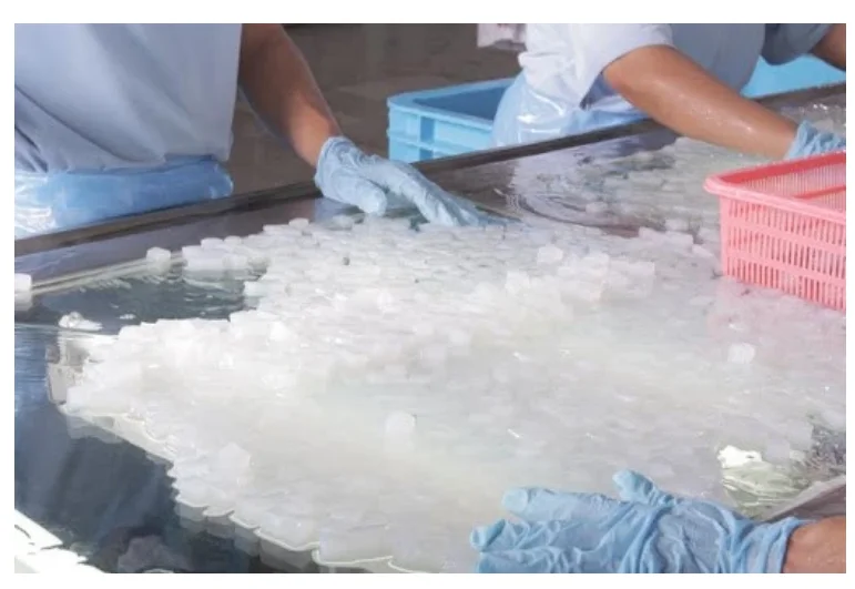  Дешевая цена NATA DE COCO/кокосовое желе из