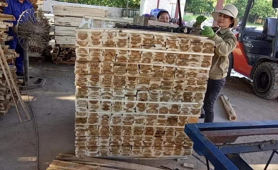 ACACIA SAWN TIMBER FOR make PALLETS