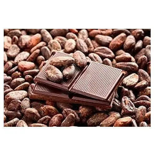 Cacao Criollo Powder