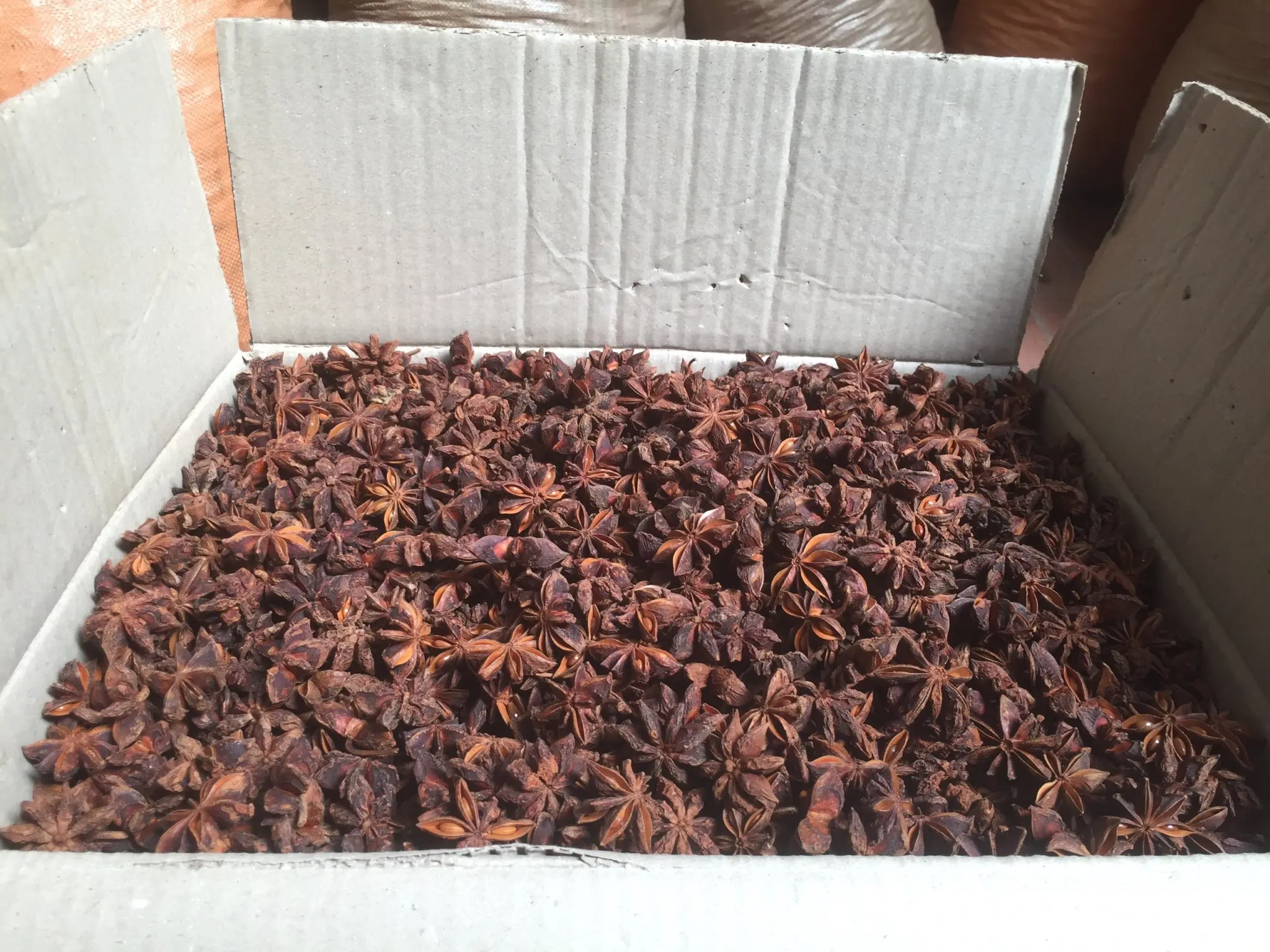 dry STAR ANISE good quality for sale call +84984418844 whatsapp