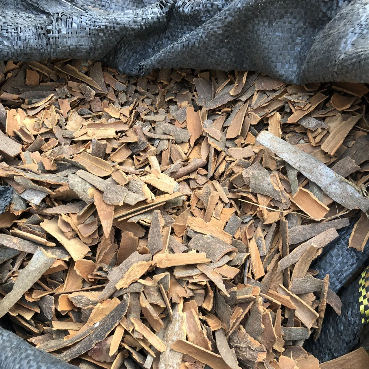 Kaneelbaum Broken/ Cinnamomum zeylanicum Blume/ Darchini New Crop 2021