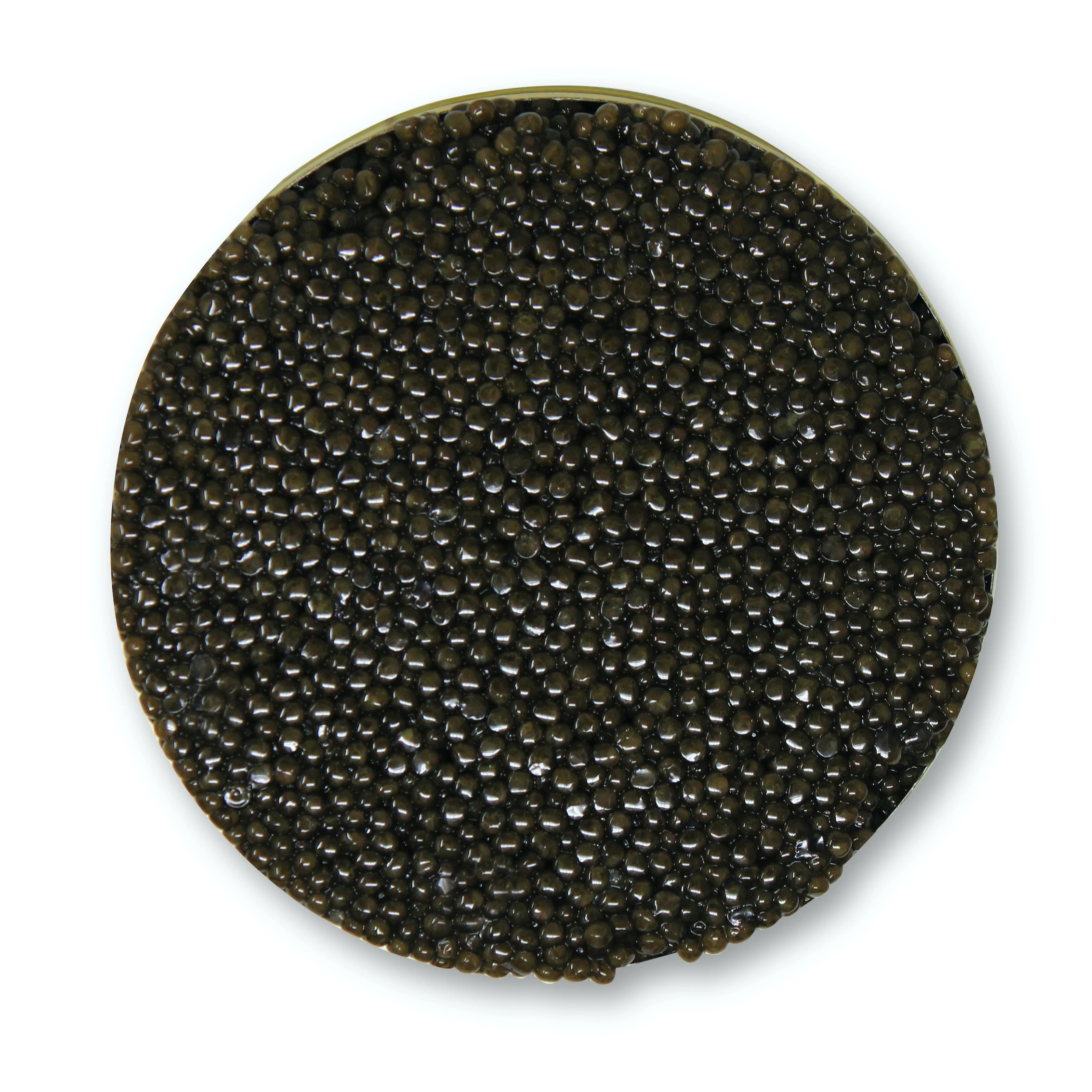 Made in Italy White Sturgeon Caviar Malossol 125gr Tin