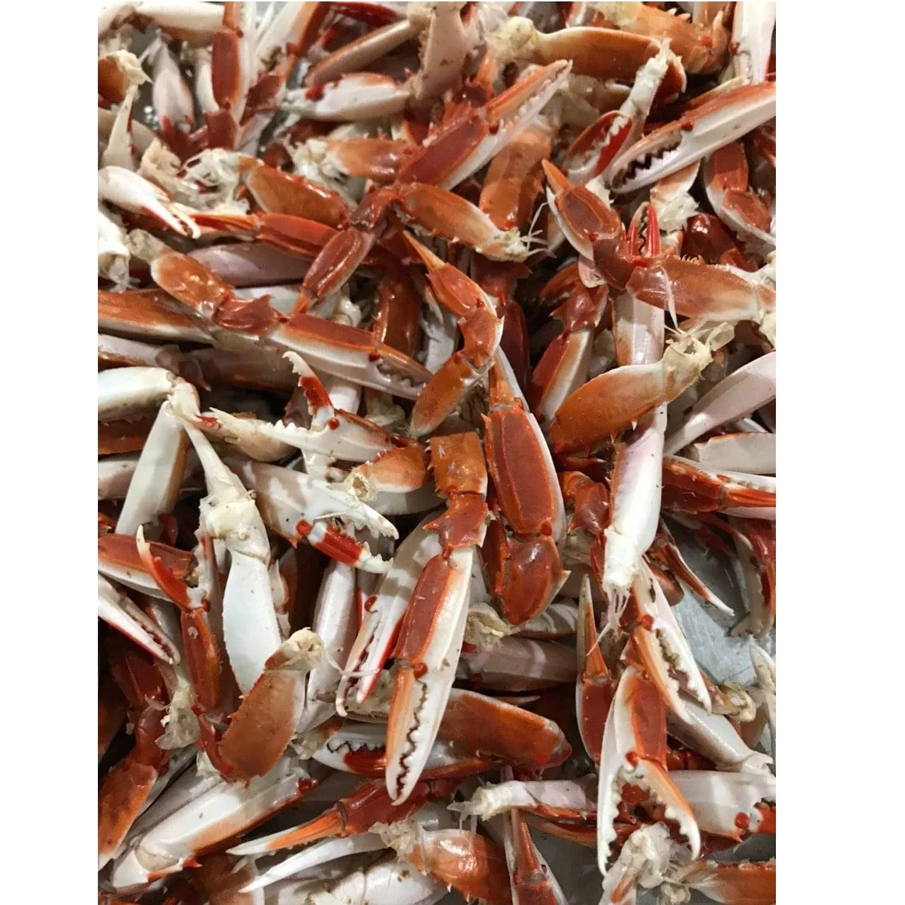 Wholesale Fresh Whole Natural Seafood Raw Meat Food Air-Dried Ground Spider Crab  For Cook From Private Label In Vietnam