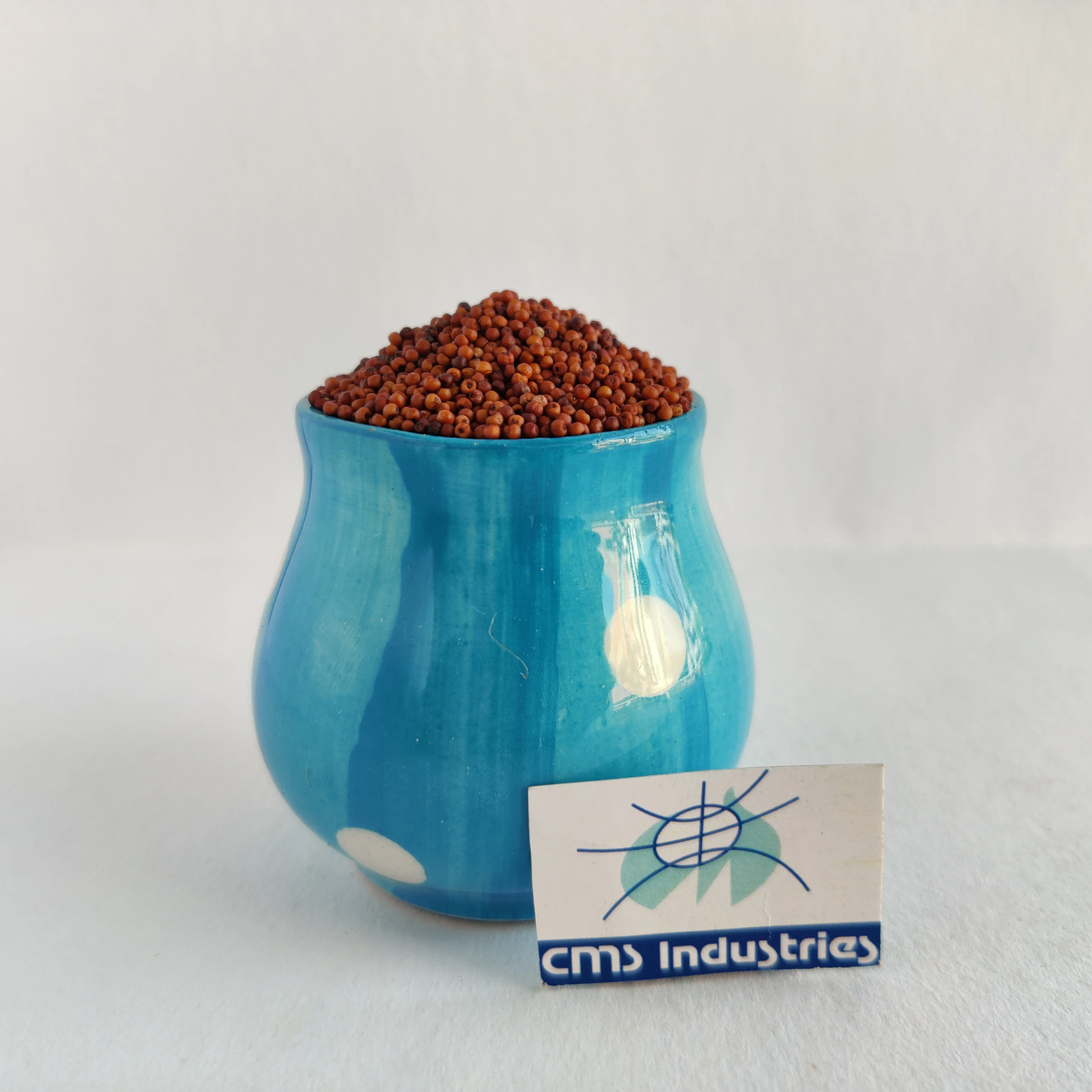 Индийский поставщик палец проса