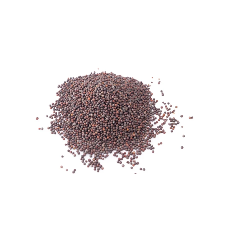 Превосходное качество, многоразовое использование, сертифицированные органические натуральные коричневые горчичные семена по низкой рыночной цене