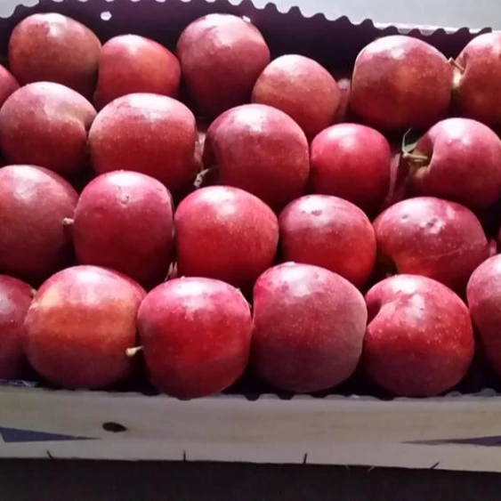 
 Свежие Яблоки RED JONAPRINCE  