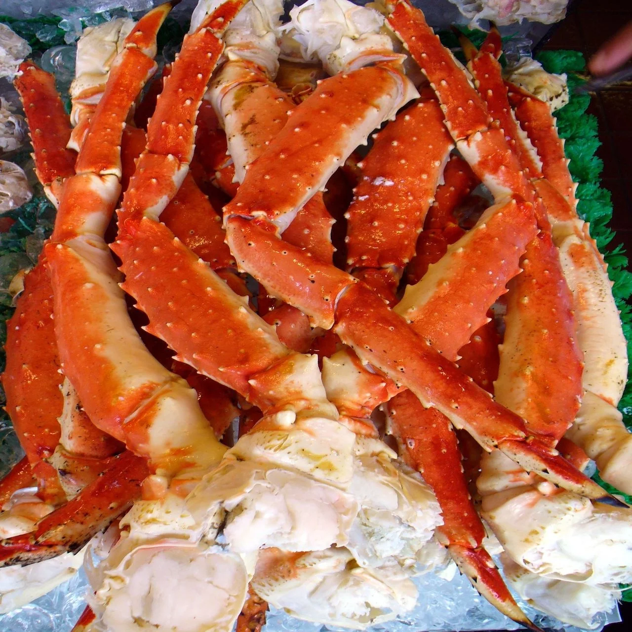 
Quality Live Red King Crabs Frozen Red King Crab Legs For Human Consumption 