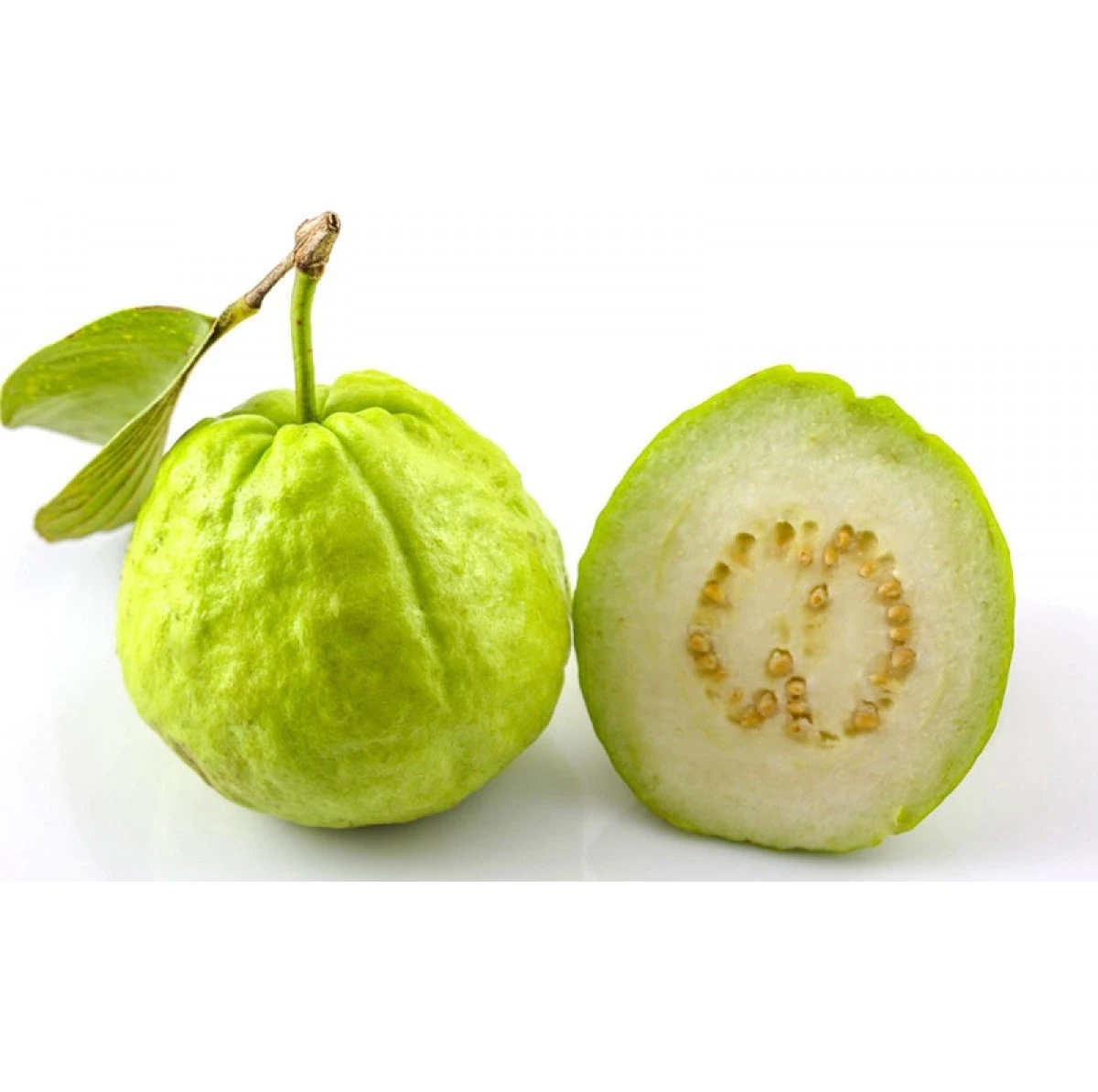 
Wholesale Fresh Guava - high quality - competitive from Vietnam in 2021 ! 