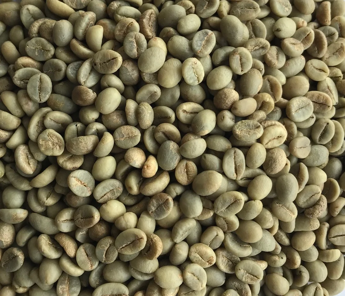  Специальные зеленые кофейные зерна немытые Robusta Cherry AAA Screen