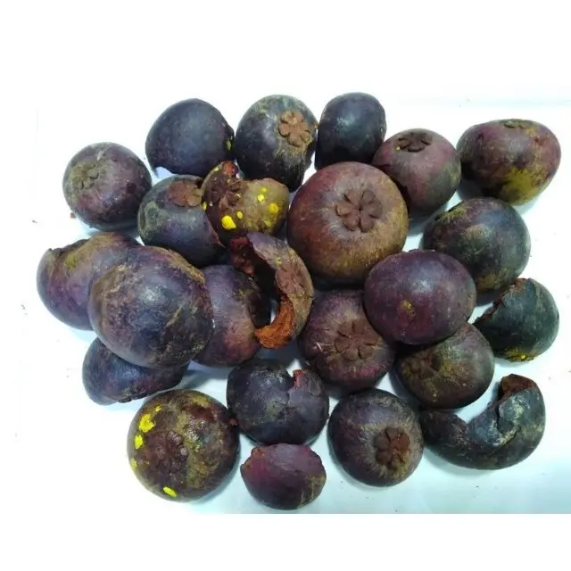 
Frozen Mangosteen Rind 100% Natural 