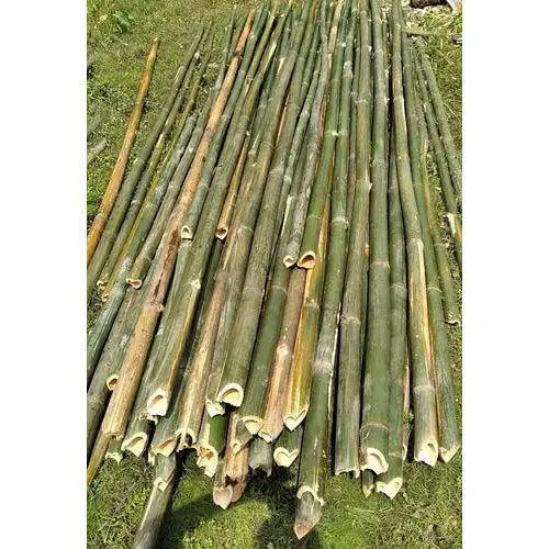 Вьетнамские бамбуковые палочки по лучшей цене/бамбуковые для садоводства и украшения/бамбуковые 100% натуральные