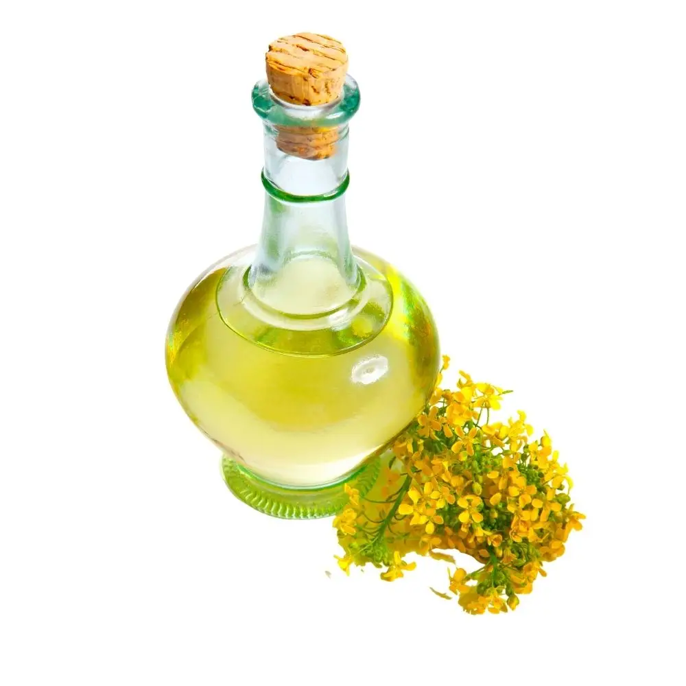 Wholesale cheap price refined Rapeseed Oil Quality Canola Oil/ Buy Canola Oil From Austria bulk