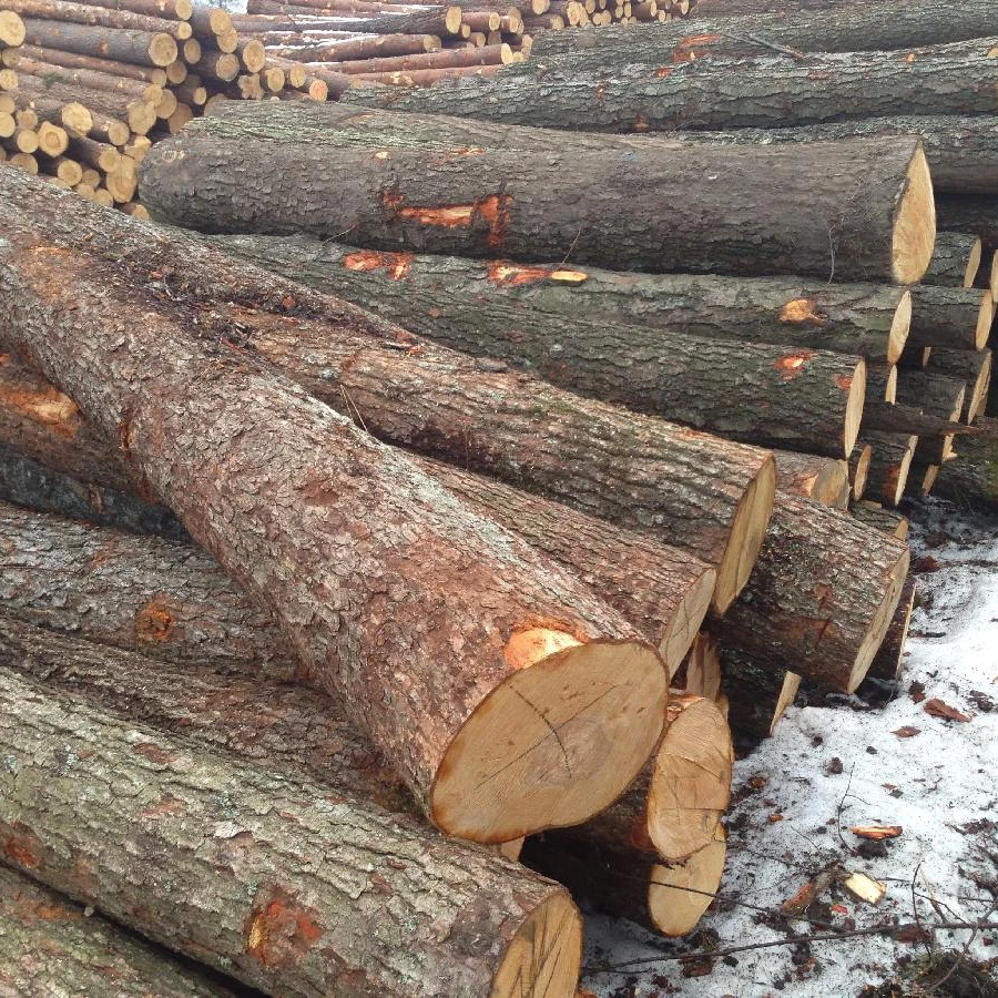
Black Alder logs for peeling (AB grade), European origin (Latvia) 