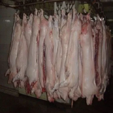 
High Quality Frozen boneless rabbit meat 