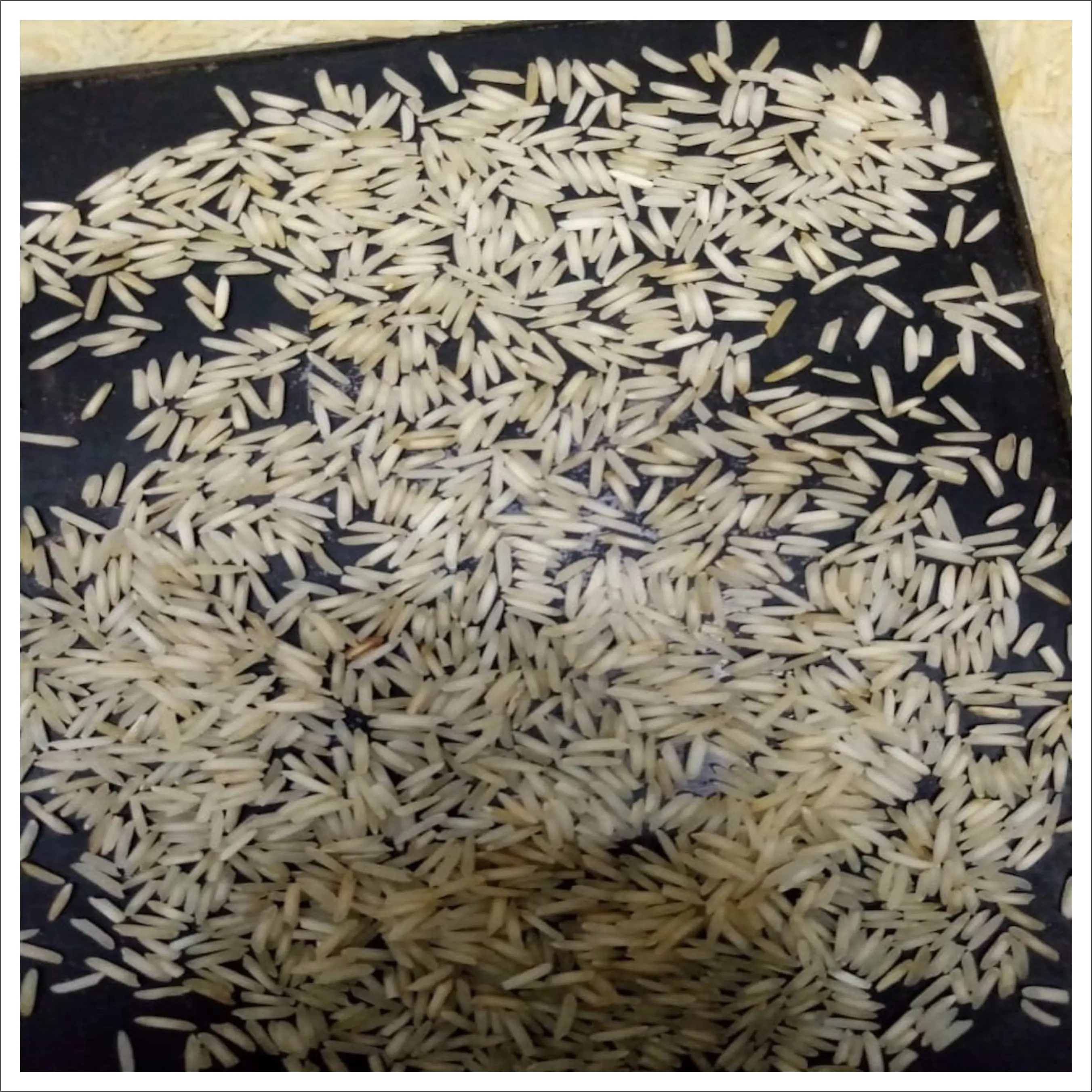 Рис басмати с длинным зерном 1121 из Пакистана
