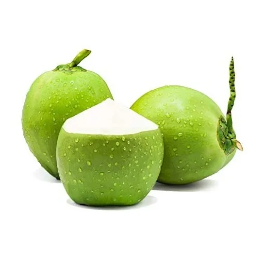 High Quality Fresh Coconuts at Cheapest Wholesale Prices Available In Huge Stock