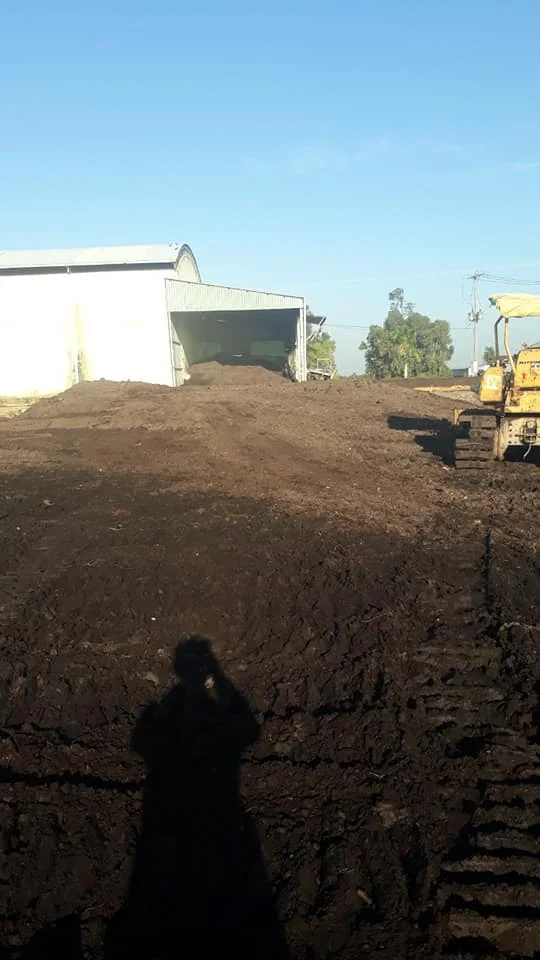 Best price Dry peat moss Peat Lithuania for planting/Hana +84 901 006 904