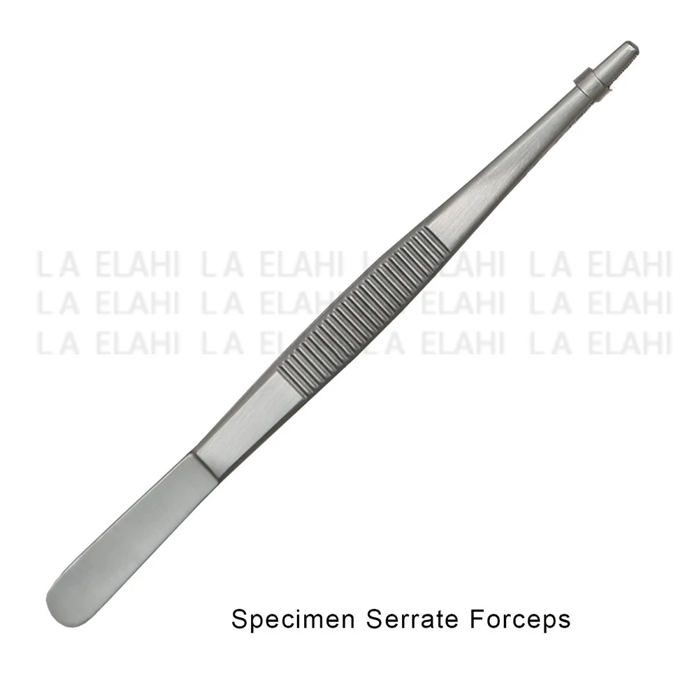 Набор для рассечения 2024 студентов студентов-медиков набор анатомии и биологии с футляр щипцов