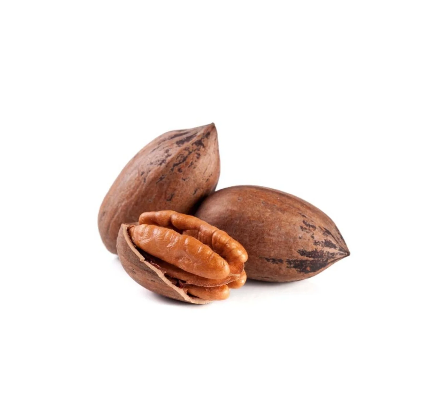 Wholesale Price Best Quality Pecan Nuts Bulk Quantity Pecan Nuts