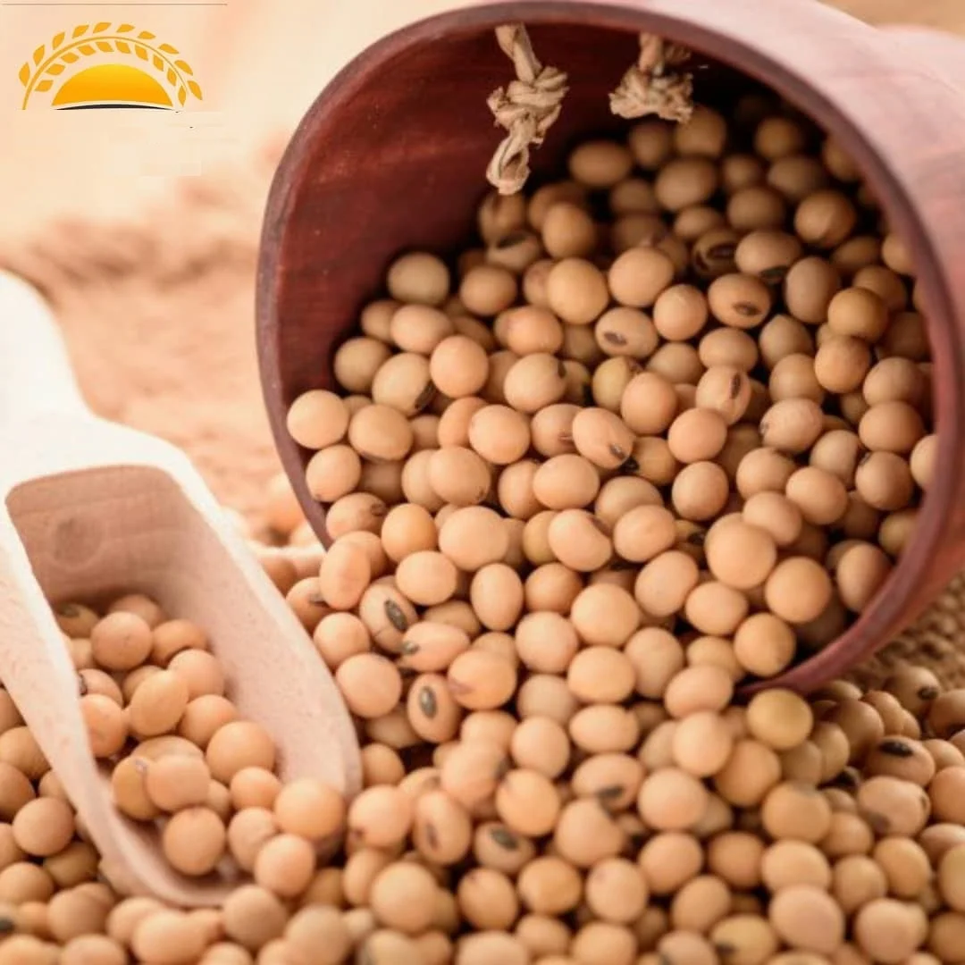 
Wholesale high quality china cheap frozen green soybean 