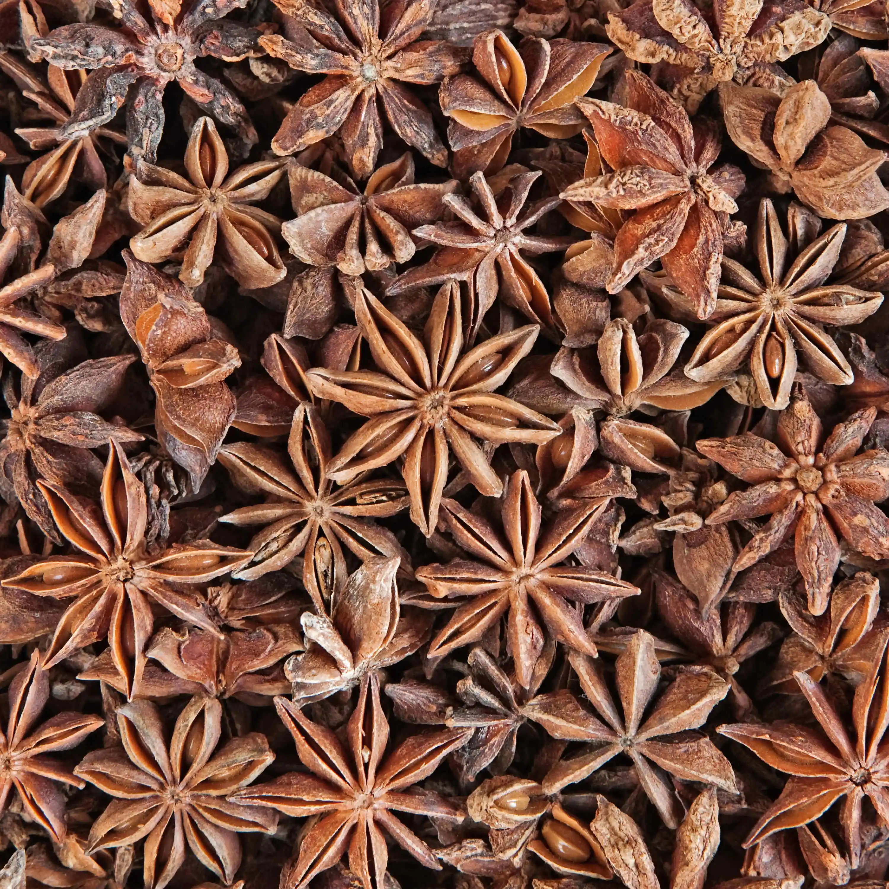  100% органический ручной выбор семена звездного аниса/продажа высококачественного аниса