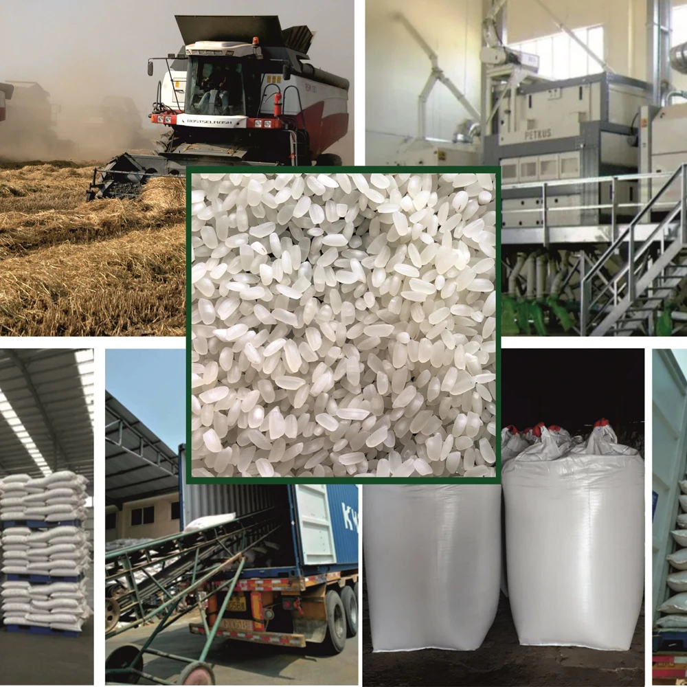 Premium quality white rice  25/35 kg bags or in bulk, product of Russia