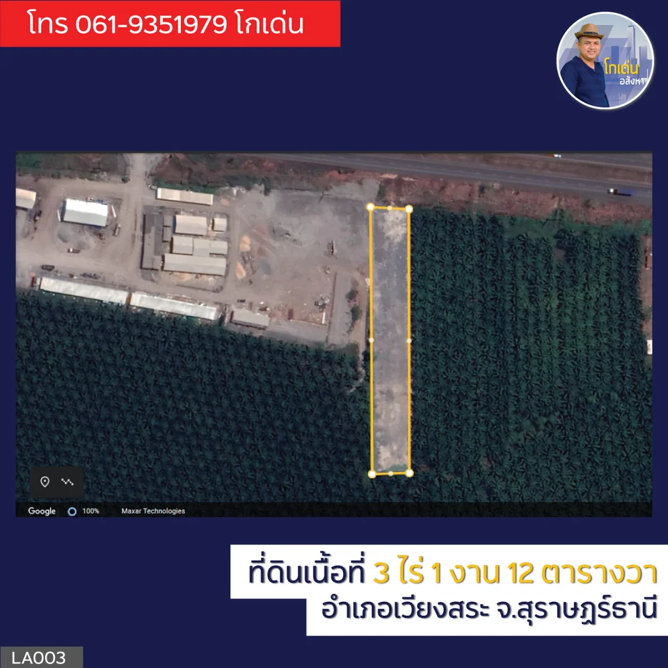 Land for Sale  Wiang Sa District  Surat Thani Thailand