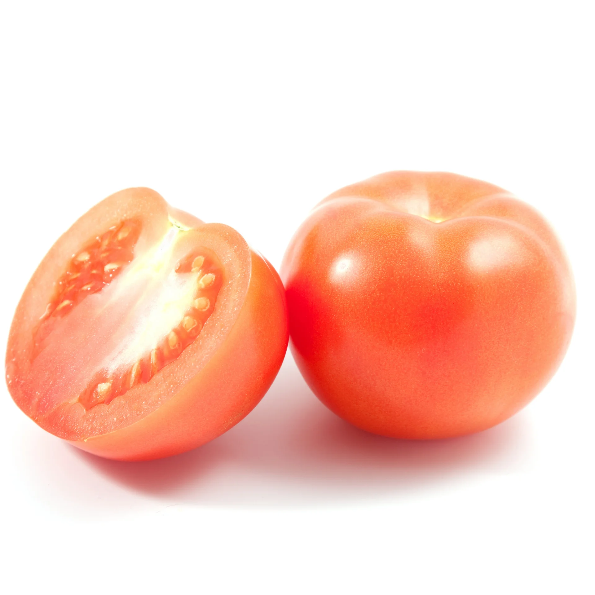 Tomato - High premium quality