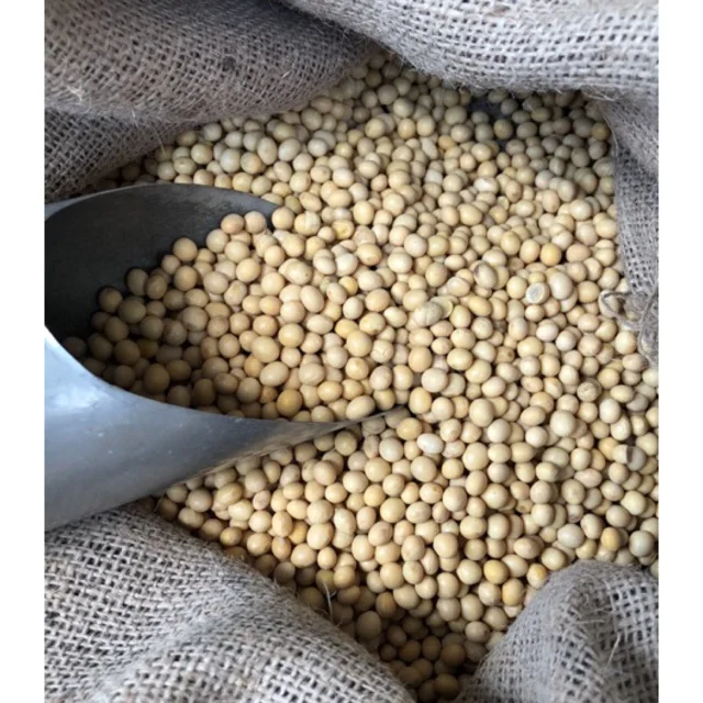 
High Quality Non GMO Rich In Oil Dried Cheap Soybean/Soyabean/Soy Bean Seeds For Sale 