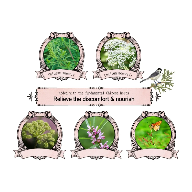 240mm Chinese Herbs Sanitary pad for menstrual