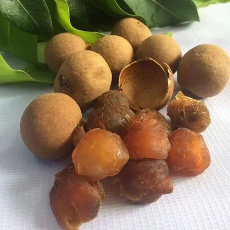 Thailand Dried Longan Fruit Dlicious Sweet Ogenic Best Seller Premium Quality For 100% Export