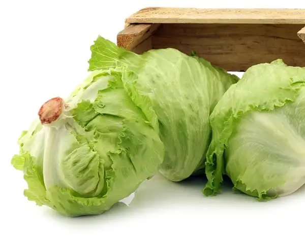 Свежий Айсберг салат