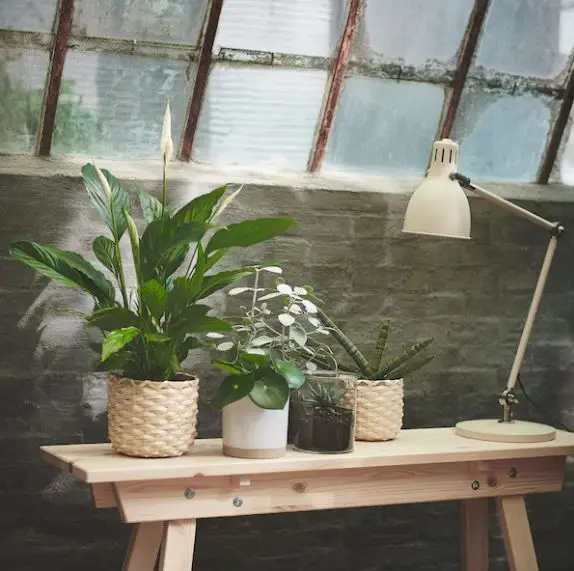 Natural bamboo plant basket handmade in Viet Nam