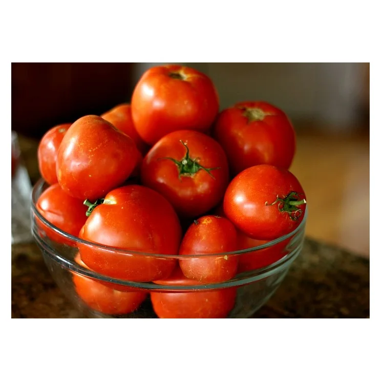 
Best Factory Price Of Fresh Red Tomatoes Available In Bulk Stock With Customize Packing 