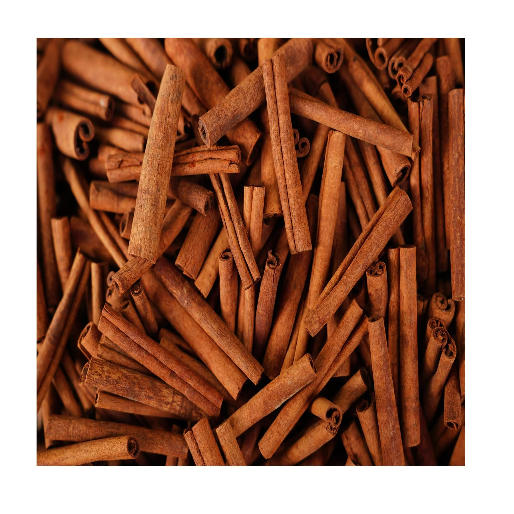 Wholesale Premium Quality Natural Dark Dried Style Raw Processing Piece Shape Cigarette Cassia Origin From Vietnam