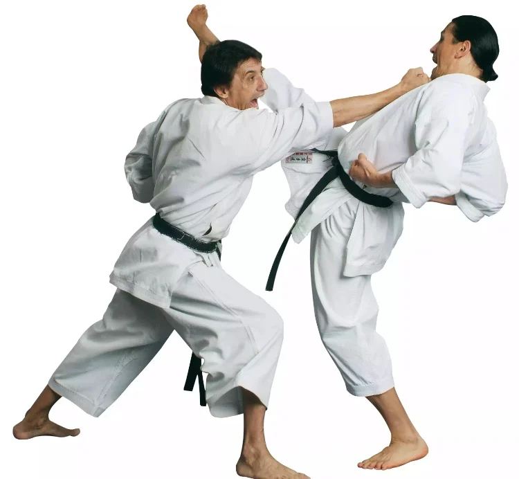 wholesale custom Karate Uniform,Karate Kimono Gi top high fabric for kids adults , low moq