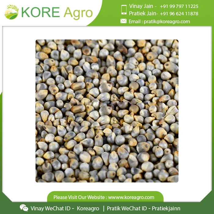  Покупка высококачественных органических семян пса без глютена Превосходное качество для похудения покупайте по низкой цене