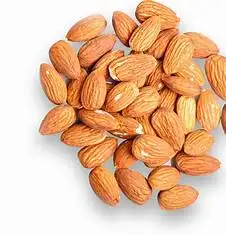 Apricot kernels for sale