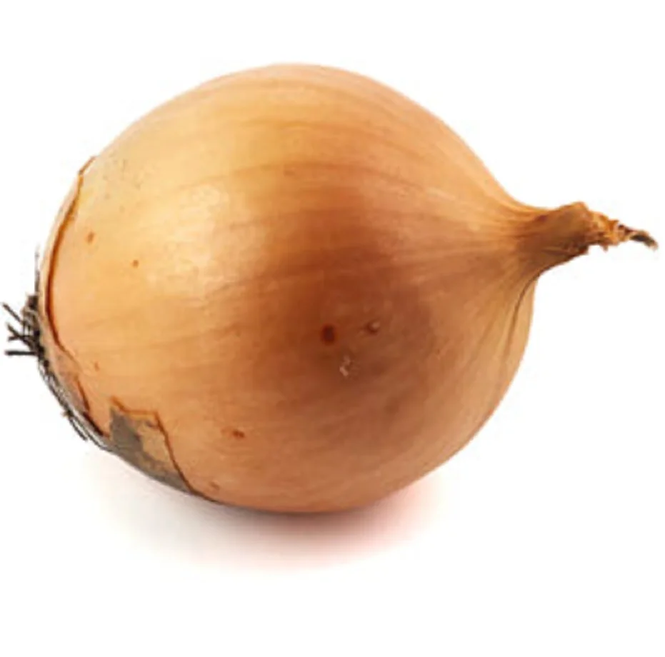 
Red onion fresh in bulk with best price 