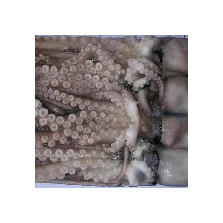 Frozen Octopus / Frozen Seafood Octopus In Bulk For Export Competitive Price