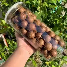 Орехи Maccadamia сырье здоровое питание Macca в Ракушке