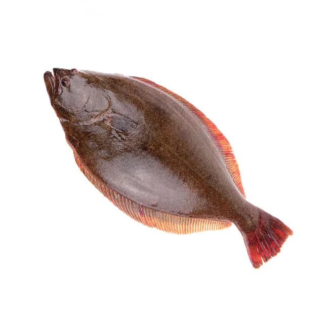
Factory Wholesale Price Great Value Fresh Flounder Black Frozen Halibut For Money High Value 