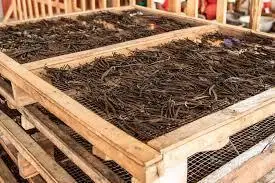 Vanilla-Beans (6).jpg