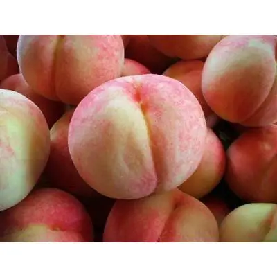 Высокое качество, оптовая продажа, свежие персики