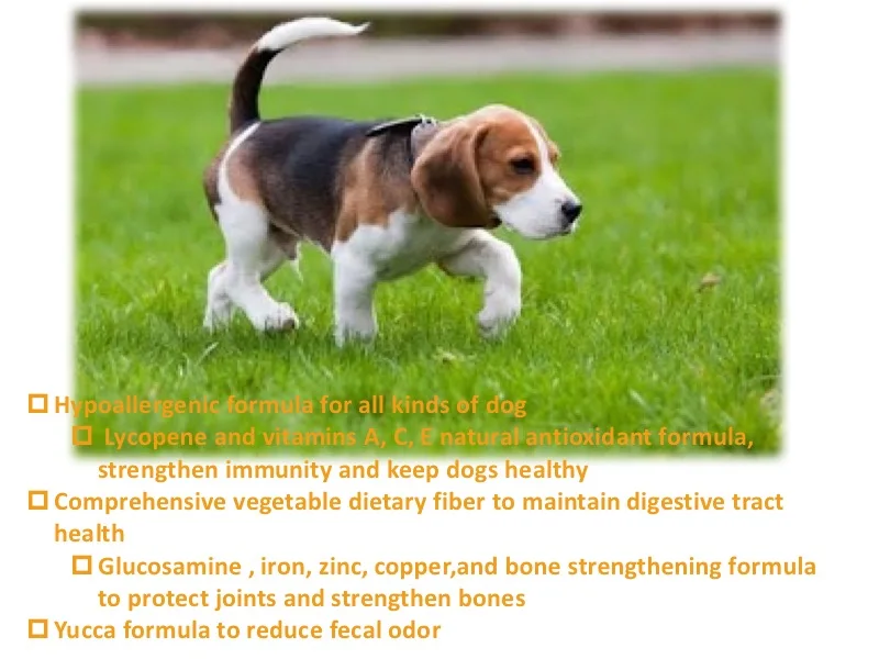 Fuso Dog Food Distributors Hypoallergenic Formula Nutrisource Dog Food Dry