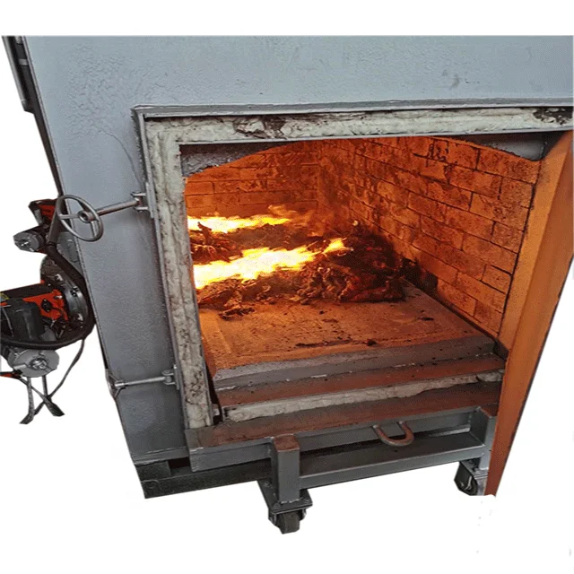 2020 year new type Hospital Medical Animals Pets Mobile Waste  Disposal Incinerator