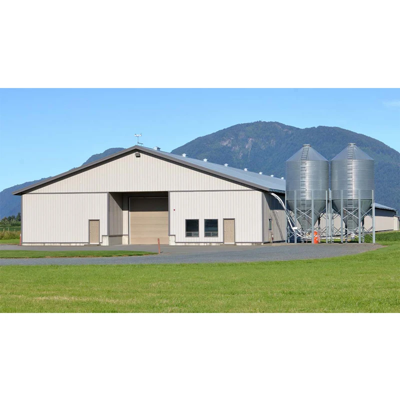 Куриные куриные клетки, легко очищаемые куриные курятники